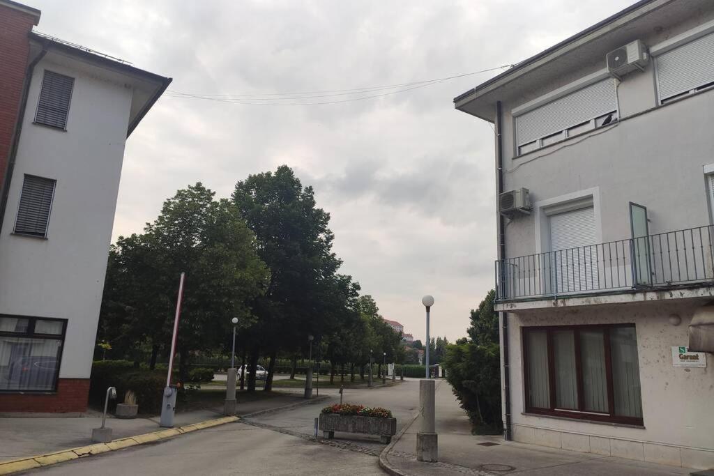 Studio Apartment "Iris" Ptuj Exterior photo
